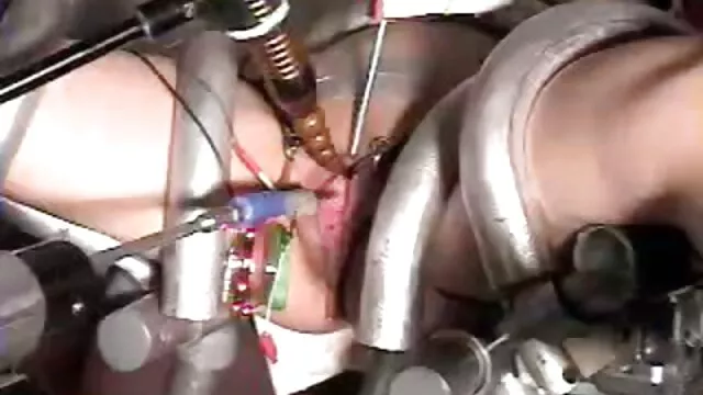 پورنو بدون ثبت نام  فلفل را به گربه کوچکم عکس سکس زن ترک وصل کردم