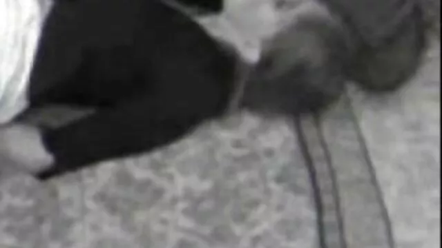 پورنو بدون ثبت نام  خواهرزاده می خواست با همسر عکس سکس زنان بدنساز برادرش رابطه جنسی برقرار کند